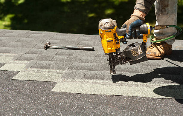 Best Roof Gutter Cleaning  in Lake Lifornia, CA